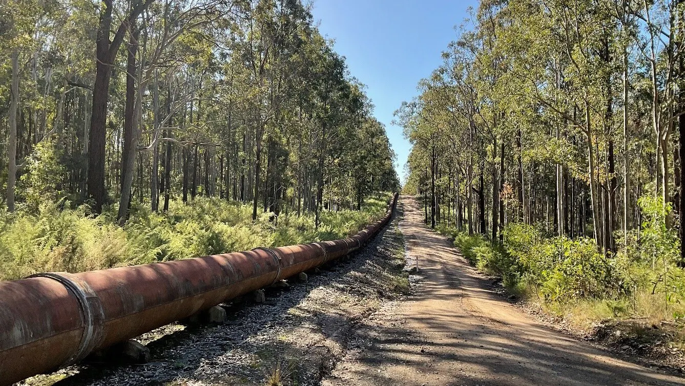 Image of CTGM through Columbey National Park