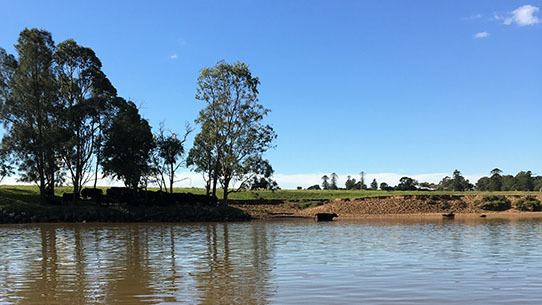 A reach of the Hunter River