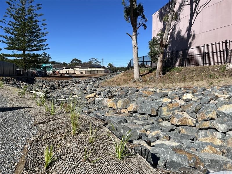 Munibung Creek - March 2026