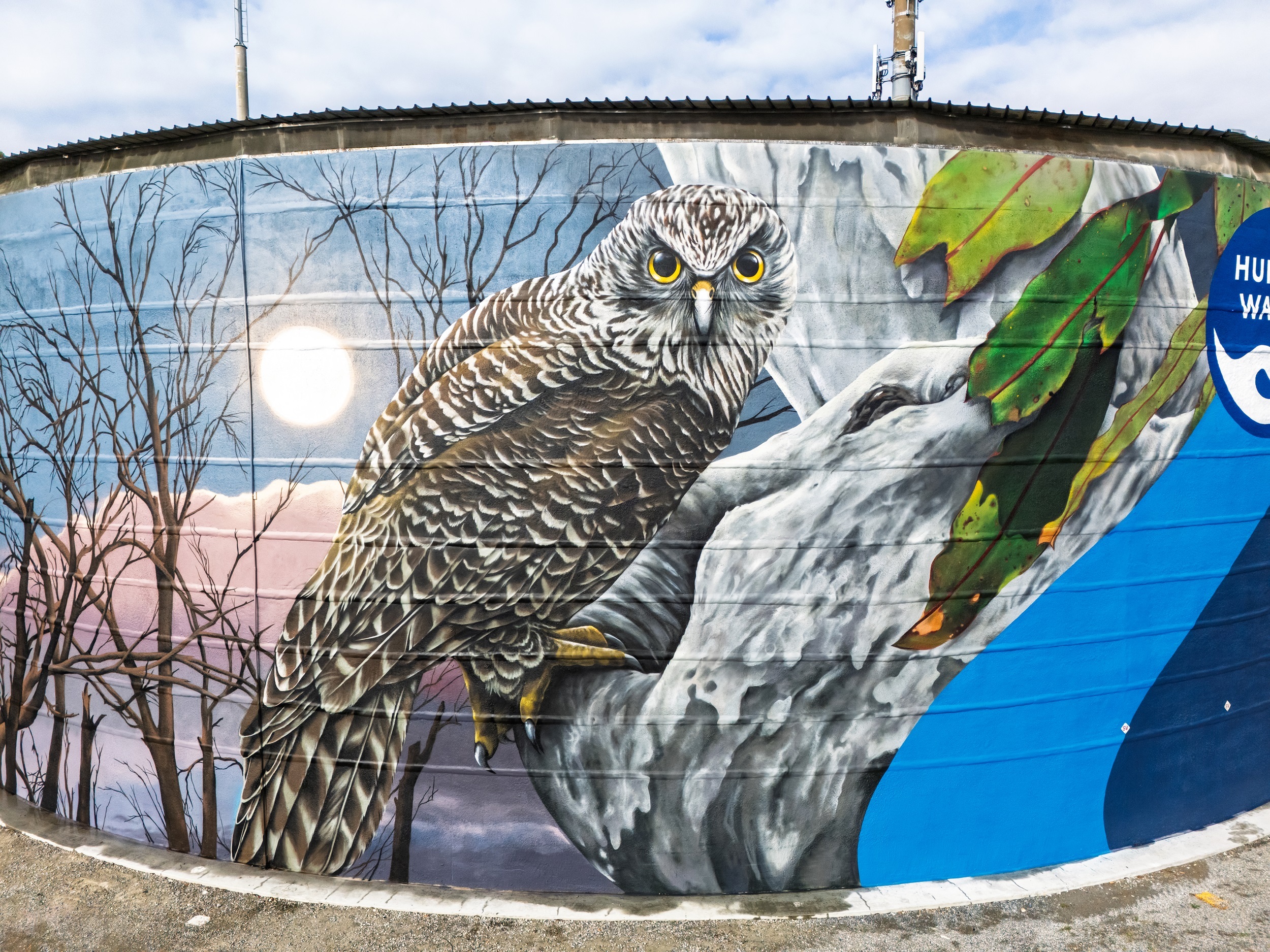Powerful owl artwork