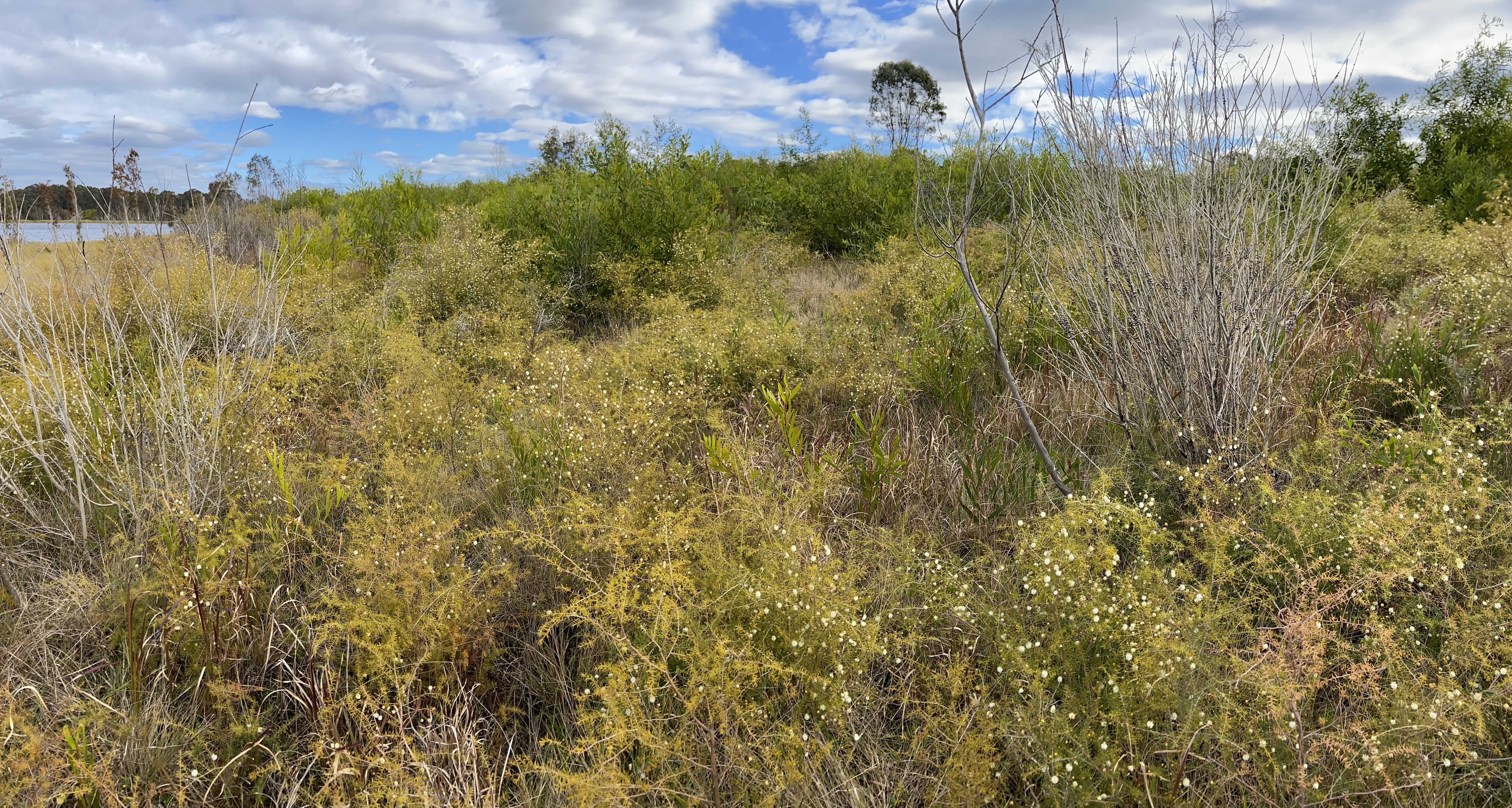 Person putting waste in recycling bin