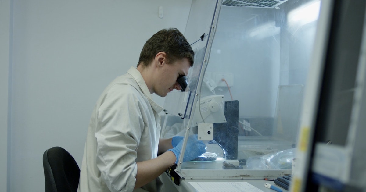 Learn About What We Do Statistics And Areas We Service Hunter Water Hunter Water