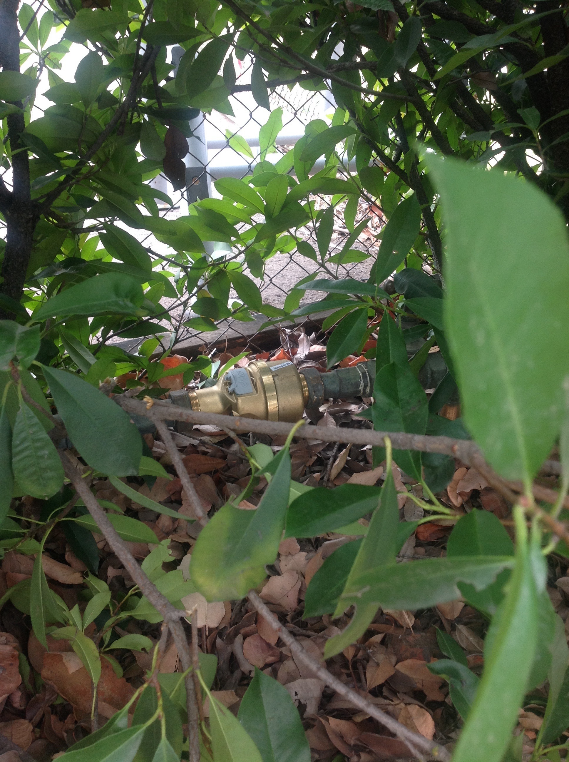 A water meter that is behind a gate and with an overgrown garden preventing access for meter reading purposes