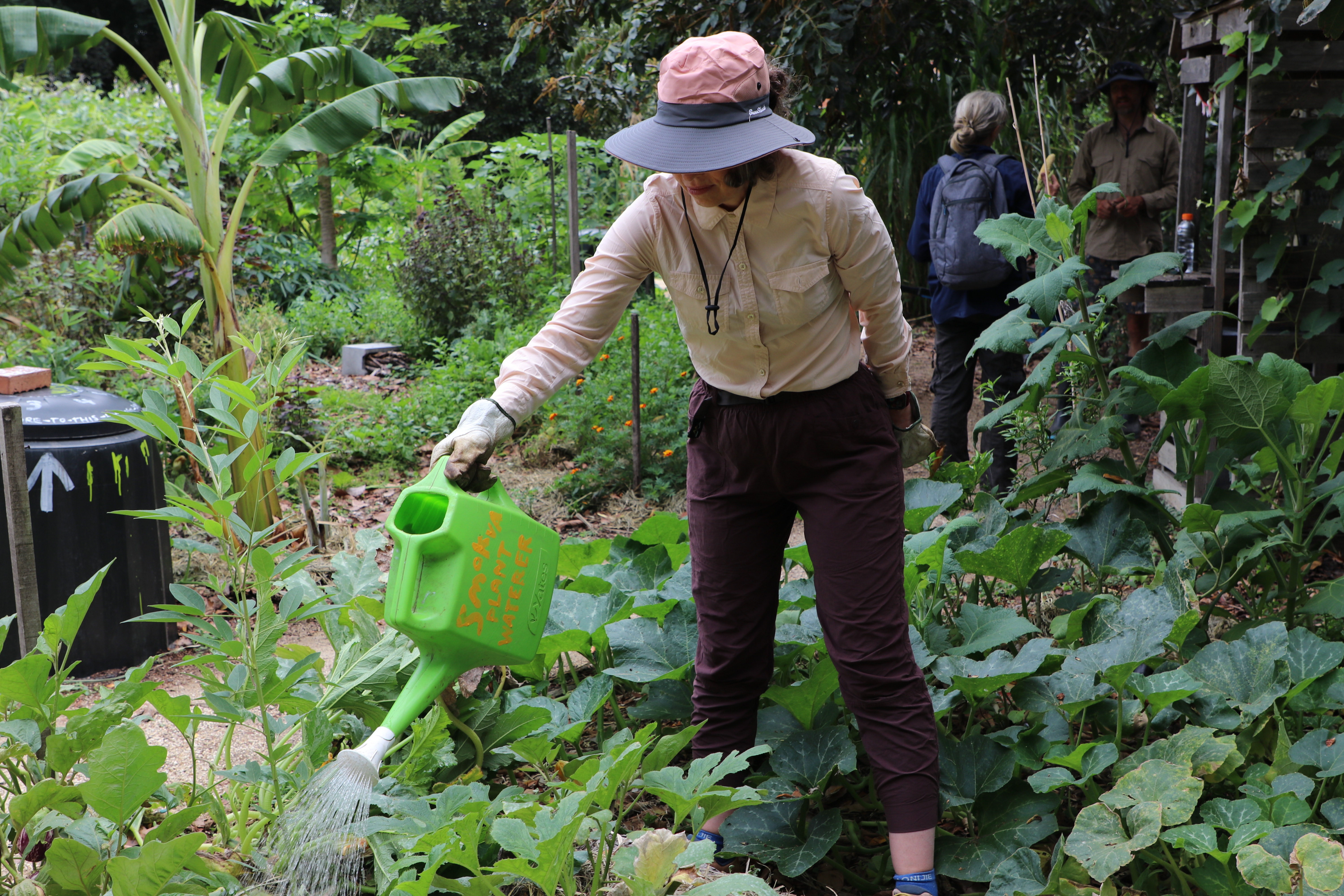 Figtree Community Group watering their community garden