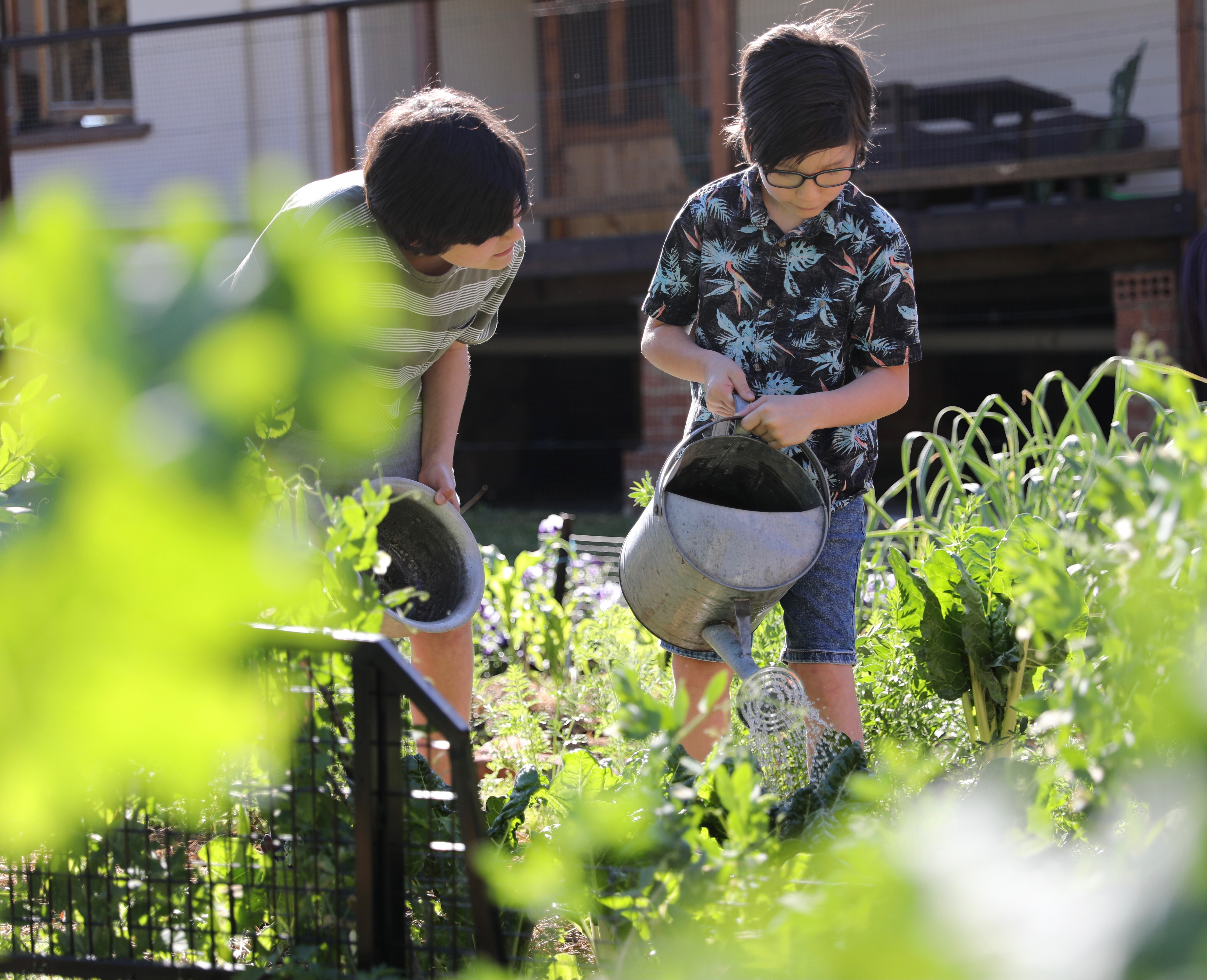 5 ways to teach your kids sustainability