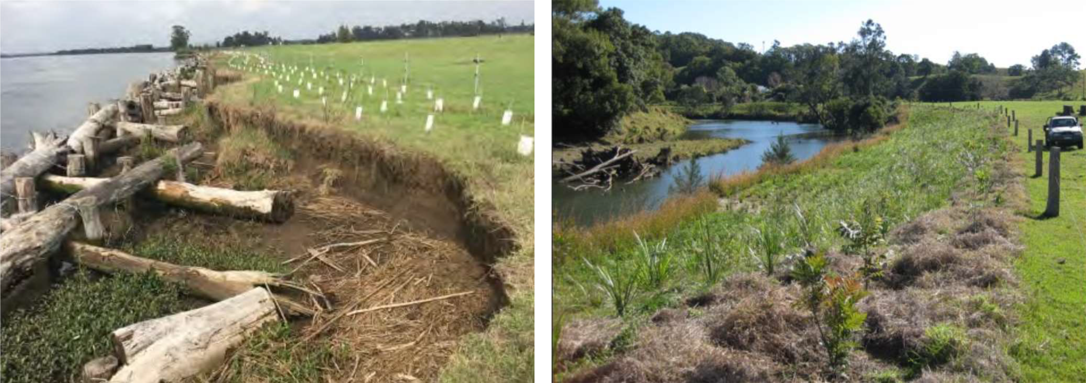Indicative images of log stabilisation and revegetation