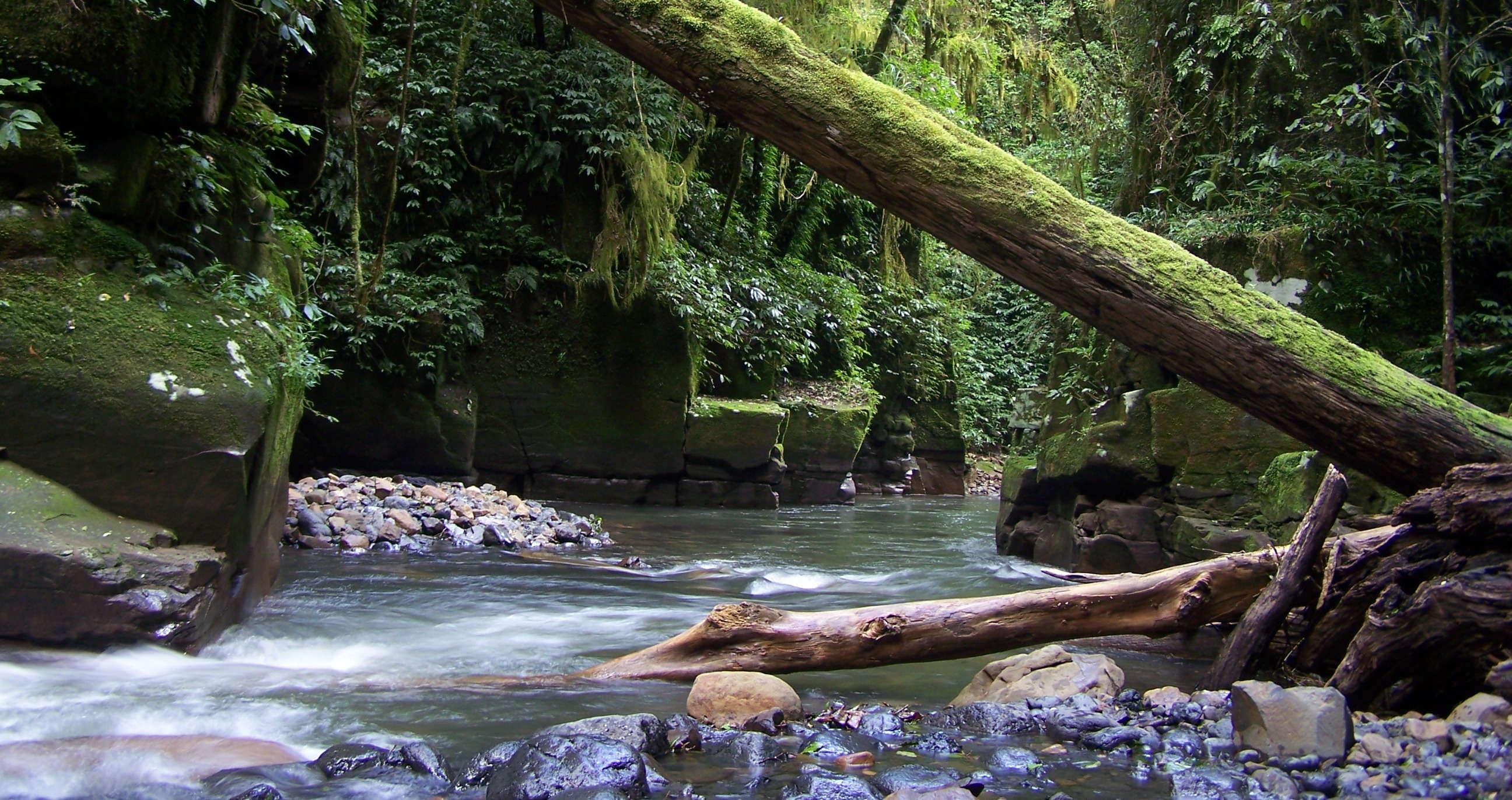 Water flowing through Paterson Gorge