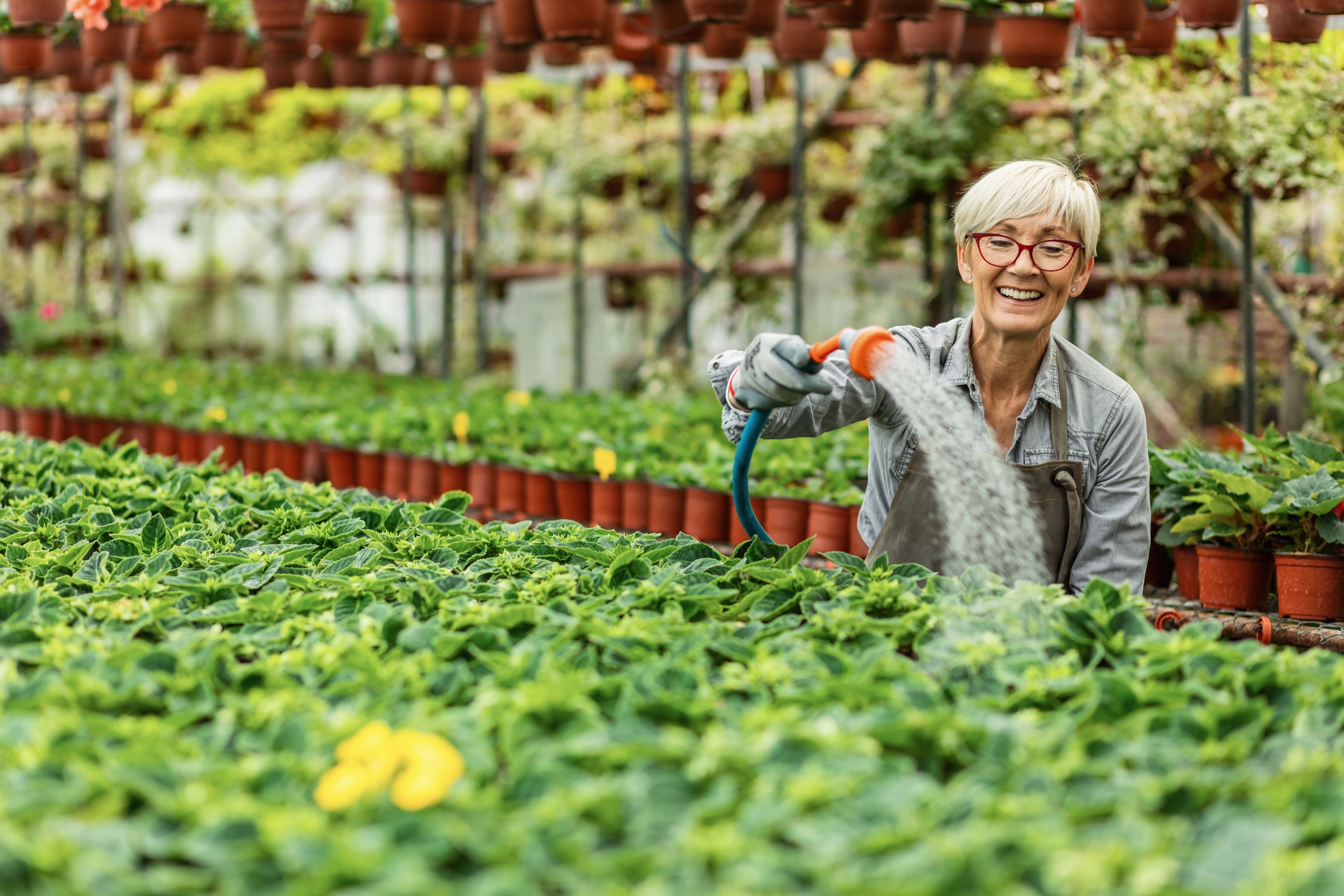 A person watering in a nursery