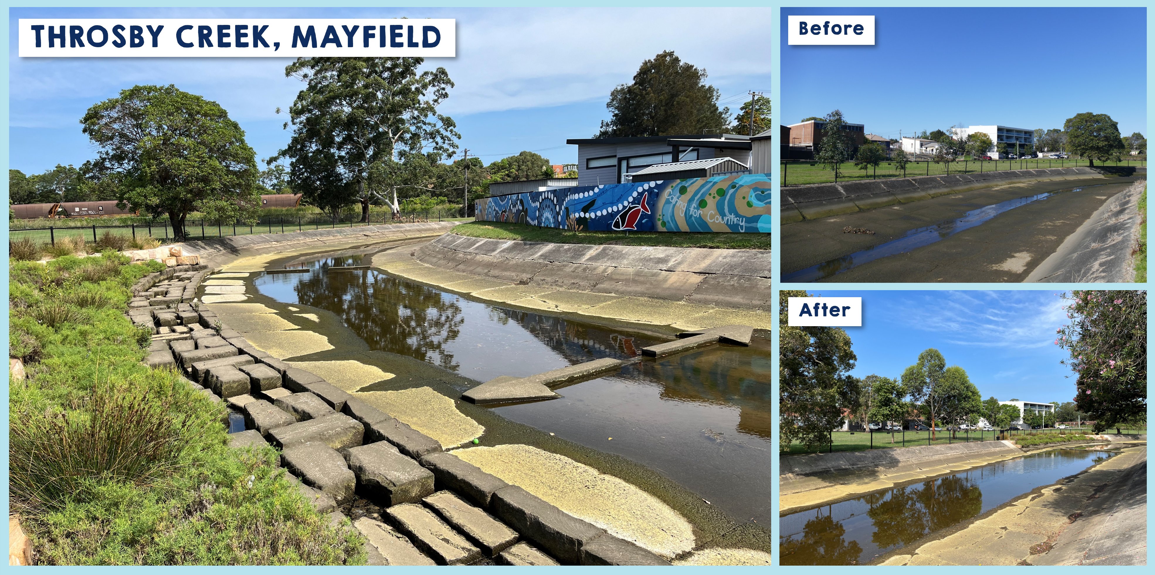 Before and after pictures - Throsby Creek, Mayfield