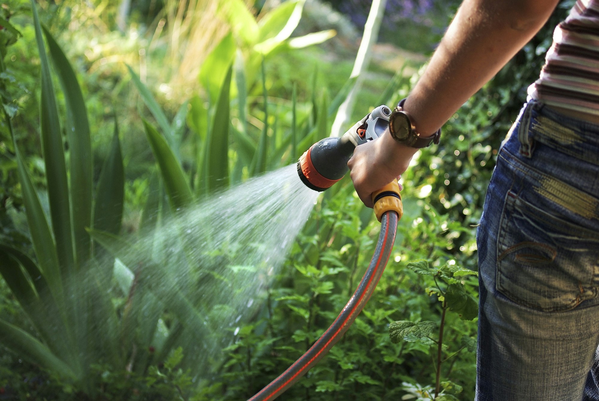 recycled-water-at-home-hunter-water